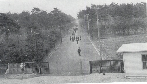 �x�m���ʂ�@���������Z�ɂ��獑���w���ʂ�]�ށ@�i���a�P�W�j