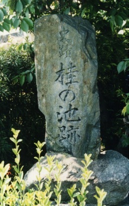 桂の池跡 福岡県朝倉町 (平成8.5)