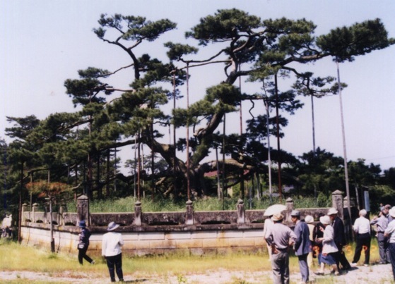 実盛の塚 加賀市 (平成10.5)