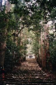 �����V�c��ˎQ�l�n�@�i���X.�S�j<br />�@�@���m���z�m�����q�R�@�^�N�V�[���~��R�����R�O���قǕ���