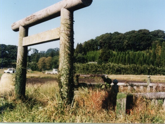 �L�ʕP�i�_���V�c�̑c��j��ˁ@���������m�����@�i�����V.�P�P�j