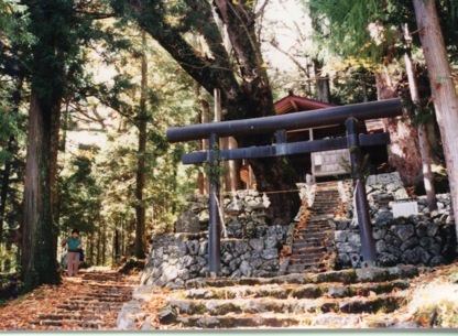 �_�⓻�i�_��_�Ёj�@���쌧���q���@�i�����V.�P�O�j<br />�@�@���������b�ߎR�g���l���̐^��A��ʕs�ւ��������͌�ʂ̗v�ՁA���{�������ʂ����Ƃ���