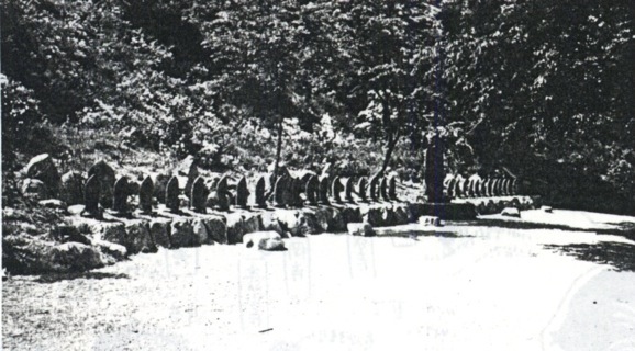 �ڐ݂���������33�ω����@�V�������o���@�،b�����������