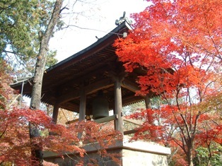 �V���s�@���ю��̍g�t�@�����P�V.�P�P