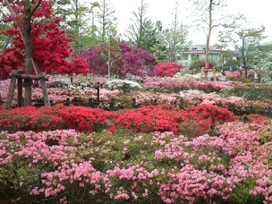 ���n�����Z���^�[�̂��@�����P�W.�S