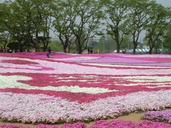 �ٗс@�쒹�̐X�t�����[�K�[�f���̎ō��@�����P�W.�T