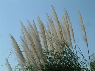 ���a�L�O�����̂������@�����P�X.�P�O