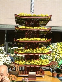 �����n���̋e�l�`�@�����P�W.�P�P