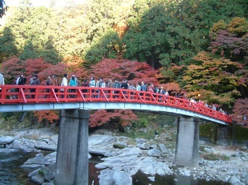 �����k�̍g�t�@�����P�W.�P�P