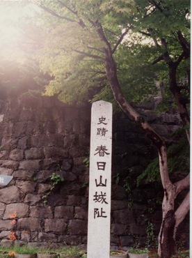 �㐙���M����@�t���隬<br />�@�@�V������z�s�@�i���U.�P�O�j