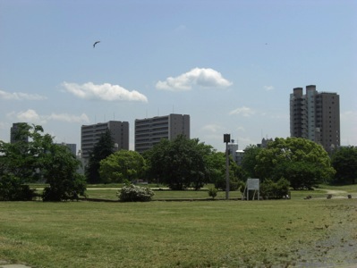 ��g�{�Ռ���