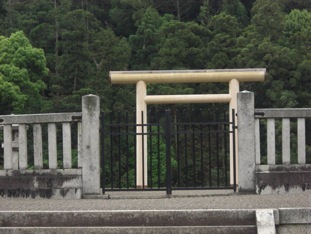 ���_�V�c���