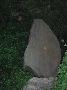 �R���Ԑl�̉̔�