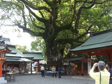 �F��ߒq��Ђƕ��d����A���̑��