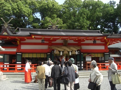 �F�쑬�ʑ��