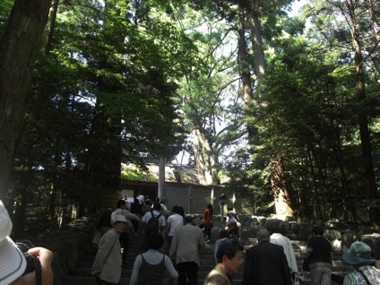 �ɐ��_�{���{