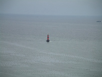 �����R����