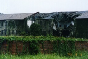 ���50�N���o����������w�Z���Z�@�@�R�����������@�i����5.9�j