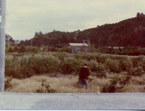 Q��n�@���ɐՁ@�i���a53.11�j