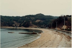 Q��n�@�@����������