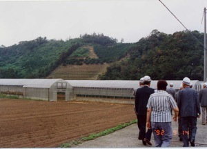 Q��n�Ձ@�@�q�����唗�@�i����4.9�j