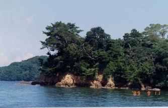 �������@�i����1.9�j