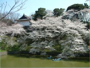 �璹�����̍��@�i����16.4�j