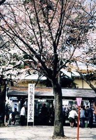 17����a�Q�q��t�@�i����11.4�j